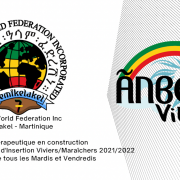 Village anbesa logo lion